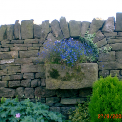 arch stones and top stones combined arch with stone trough planter 